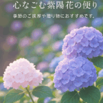 初夏。紫陽花